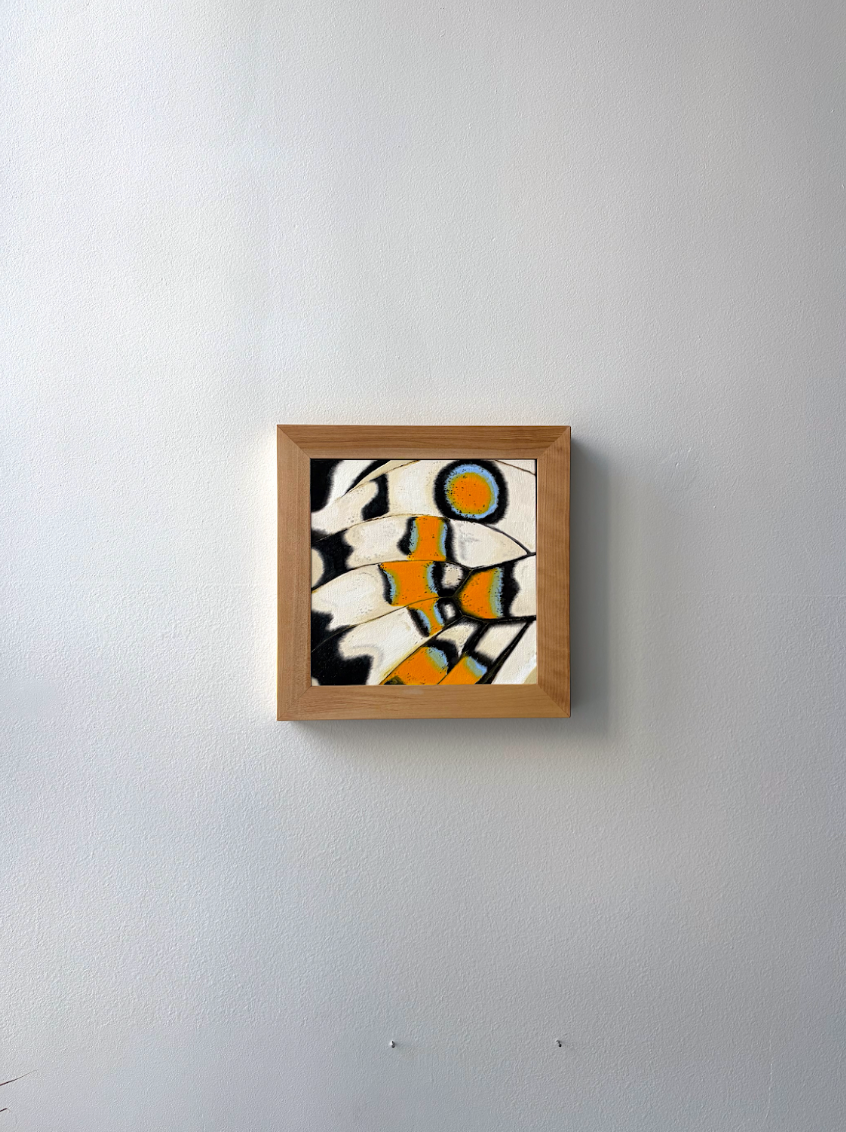 Isabella Ramirez / Blanco y Naranja
