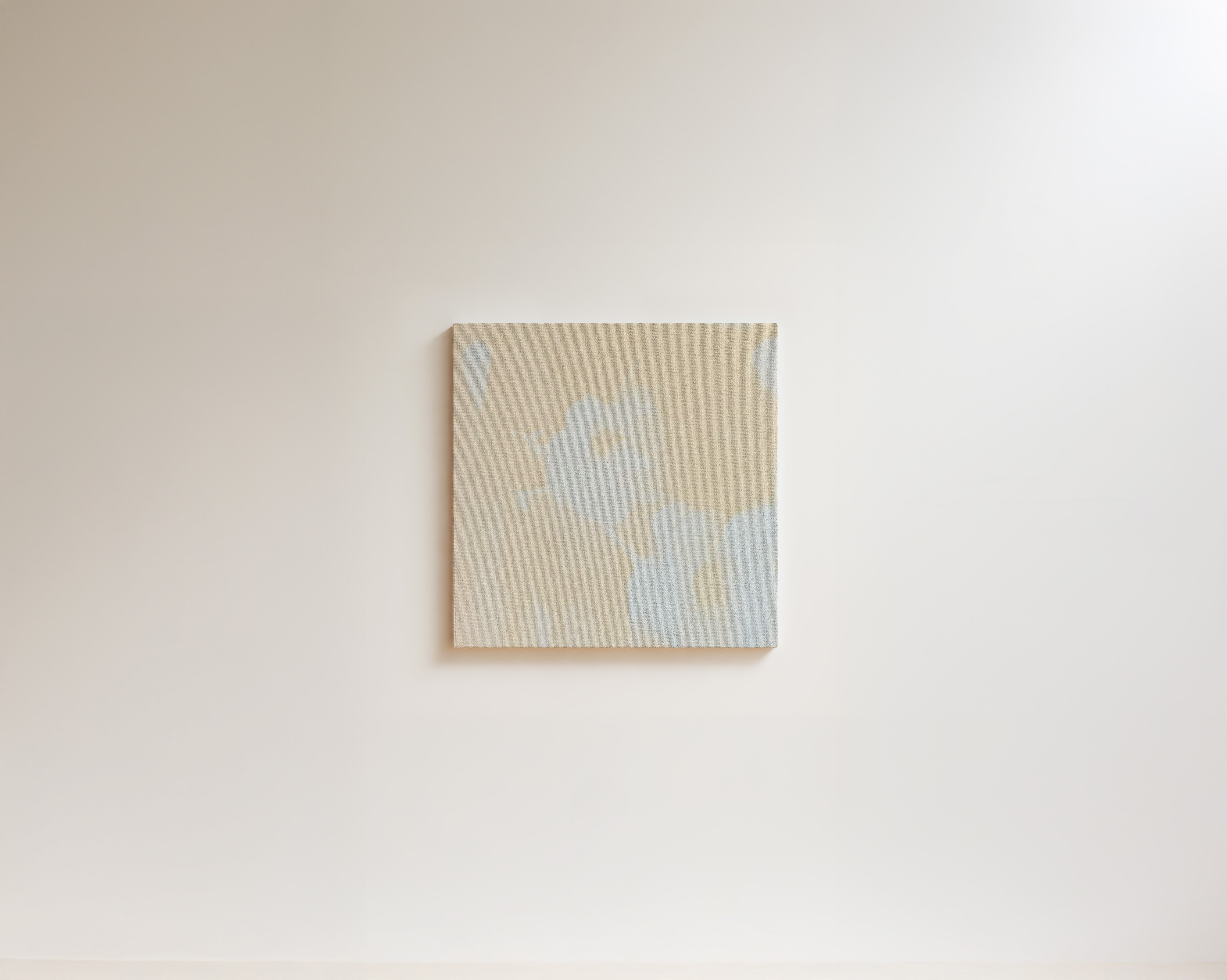 Natalia Nicole Rodriguez / Winter Garden