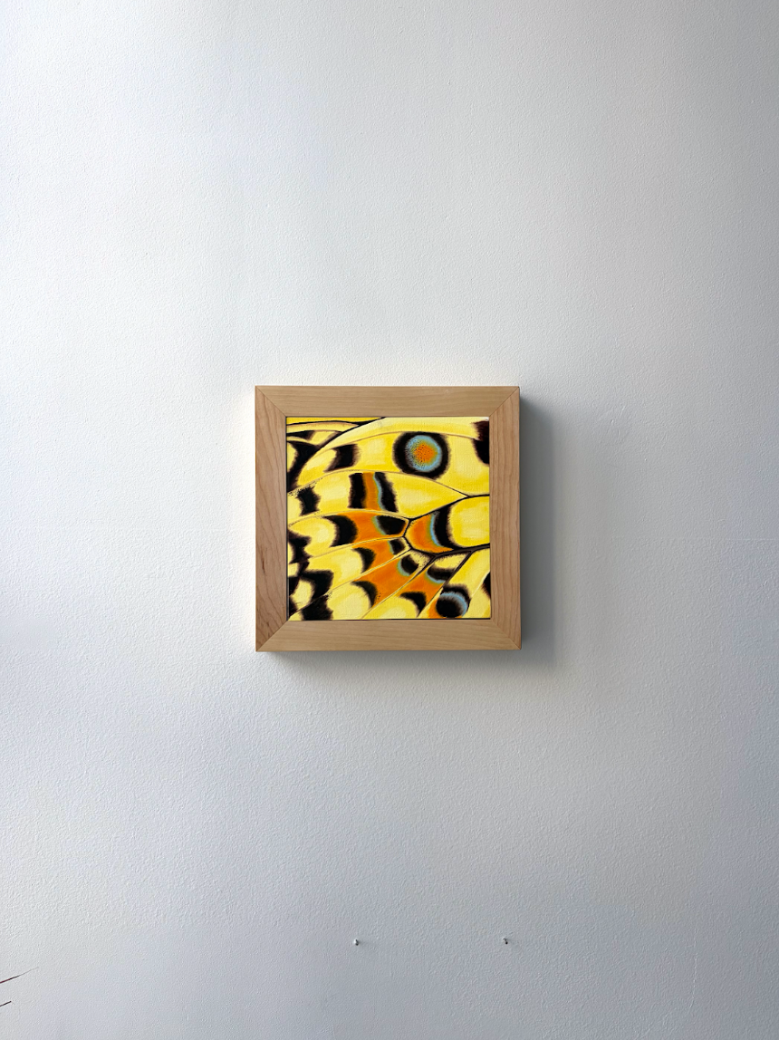 Isabella Ramirez / Amarillo