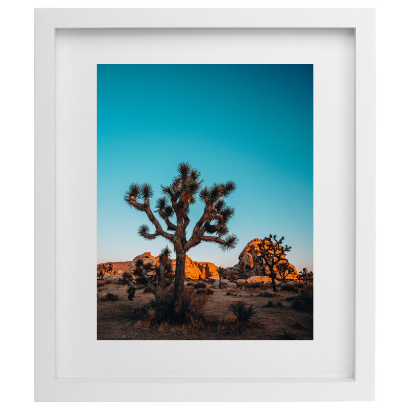 Joshua Tree photography in a white frame