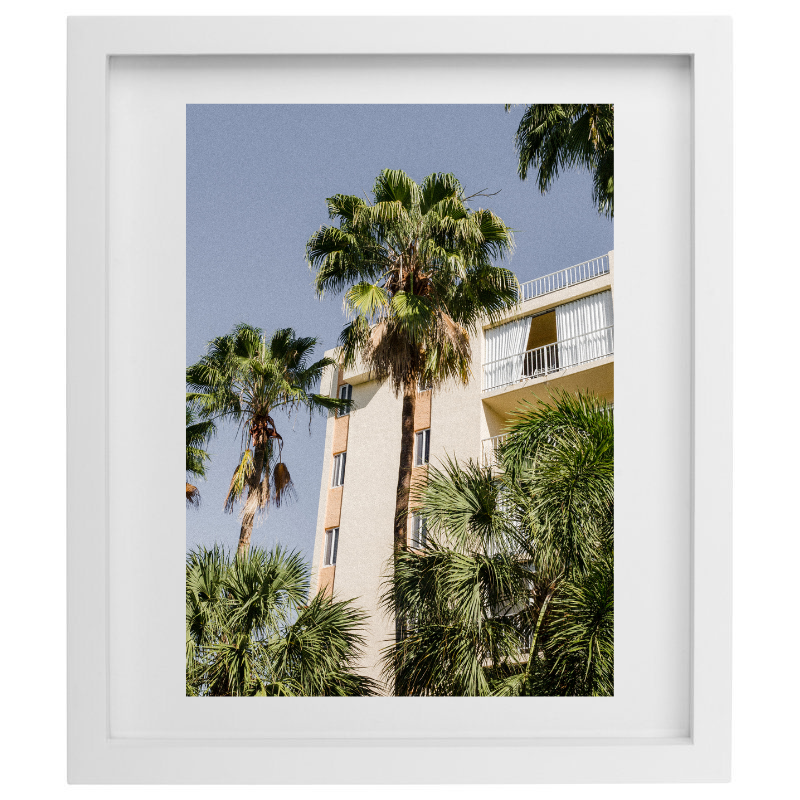 Palm tree photography in a white frame