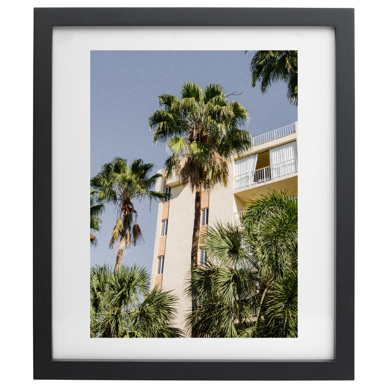 Palm tree photography in a black frame