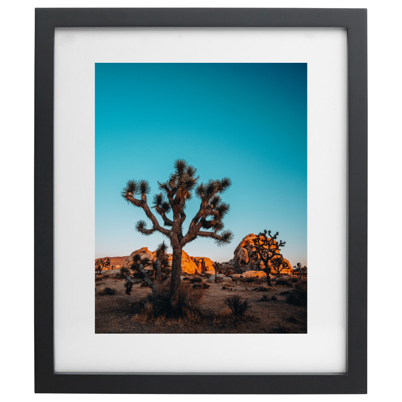 Joshua Tree photography in a black frame