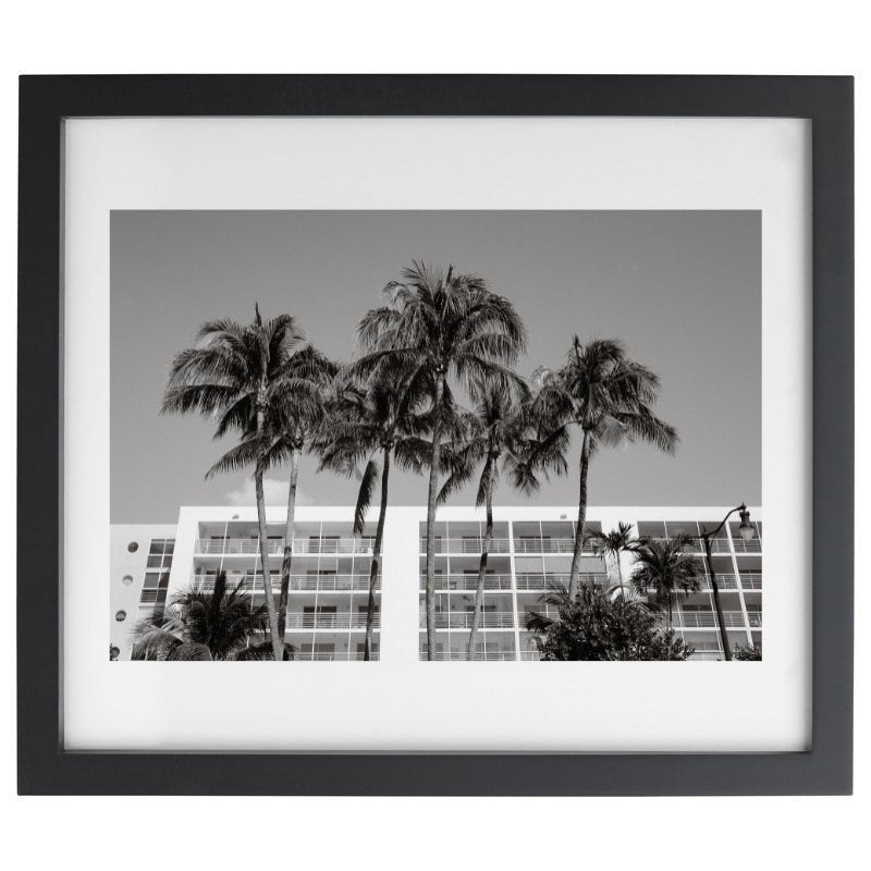 Black and white palm tree photography in a black frame