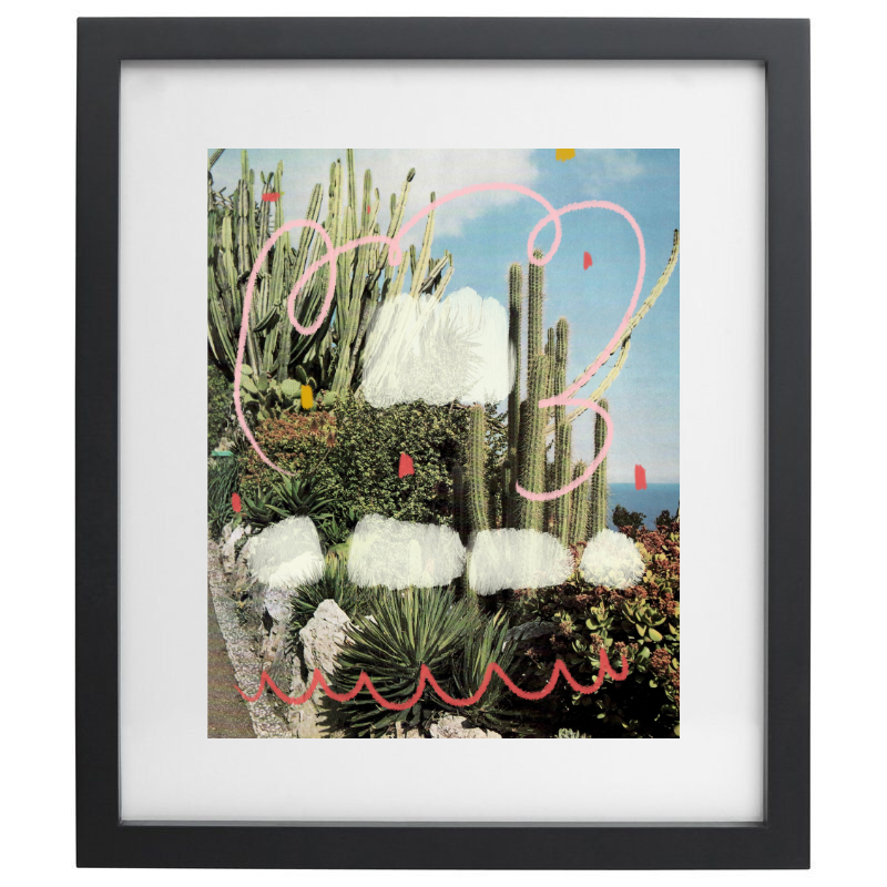 Succulent photography with painting over top in a black frame