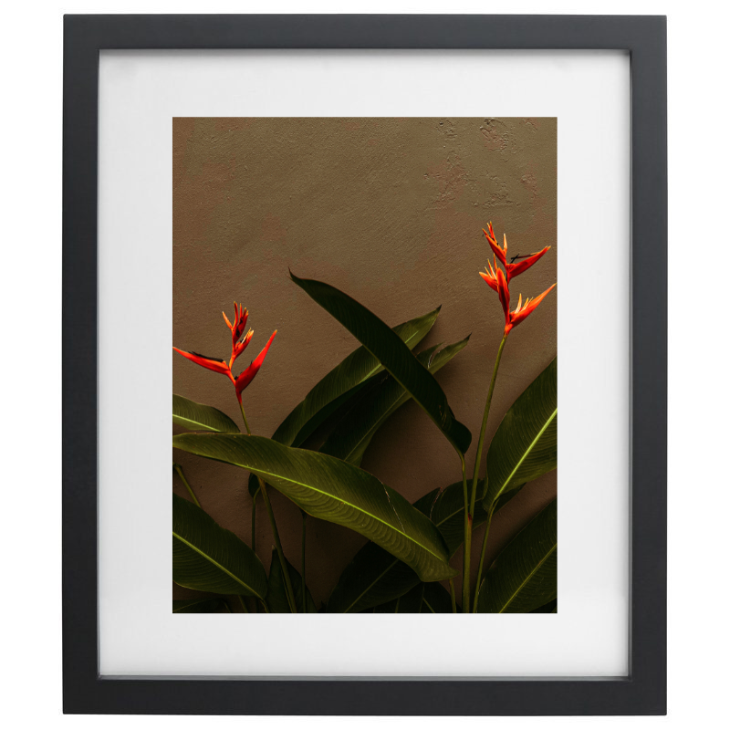 Orange flowers photography in a black frame