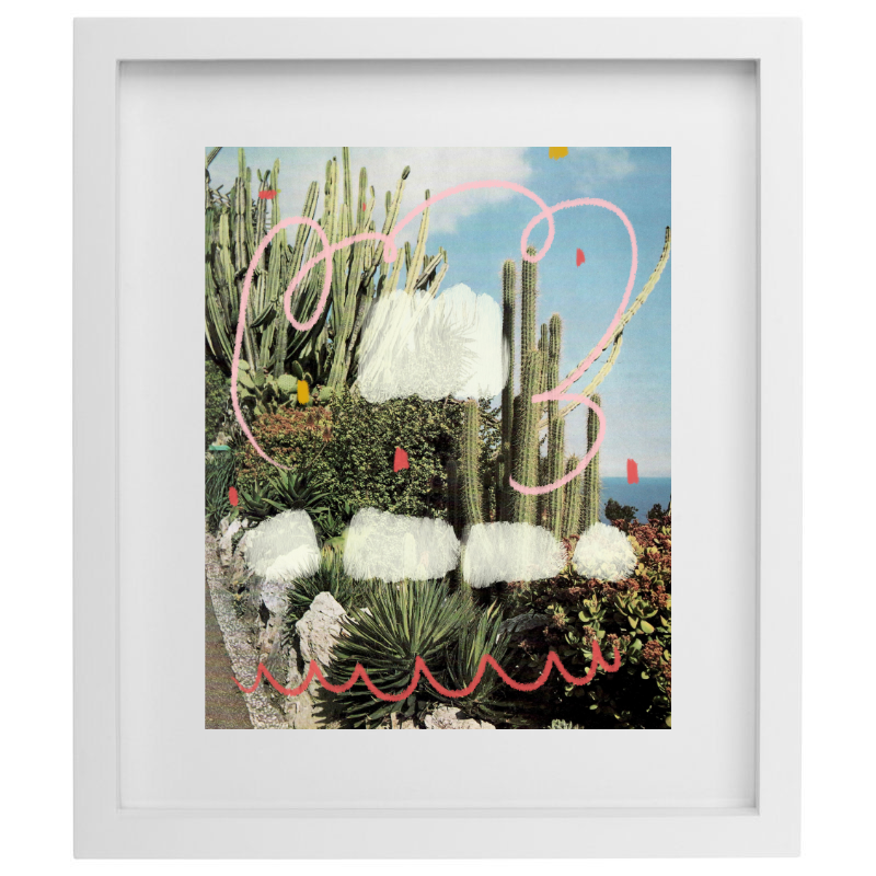 Succulent photography with painting over top in a white frame