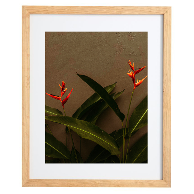 Orange flowers photography in a natural frame