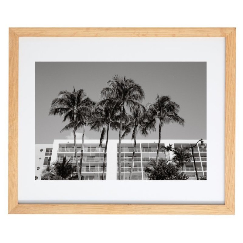 Black and white palm tree photography in a natural frame