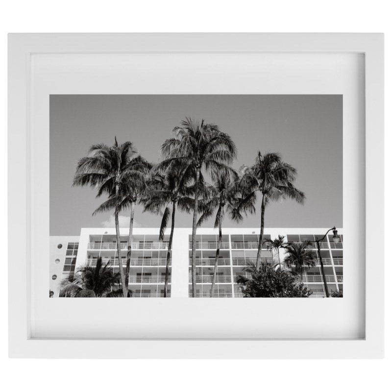 Black and white palm tree photography in a white frame