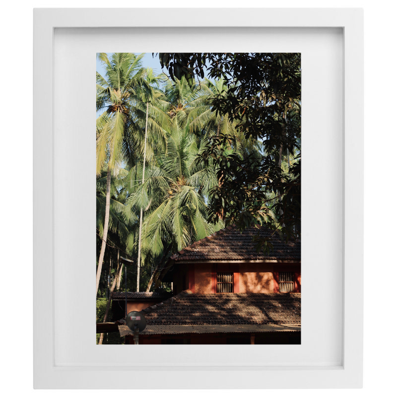 Palm tree photography in a white frame
