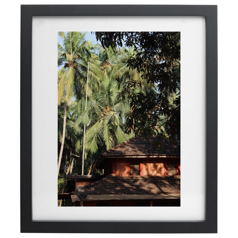 Palm tree photography in a black frame