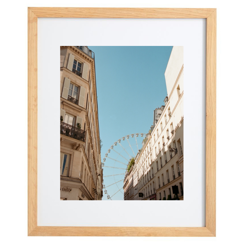 Grande Roue de Paris photography in a natural frame