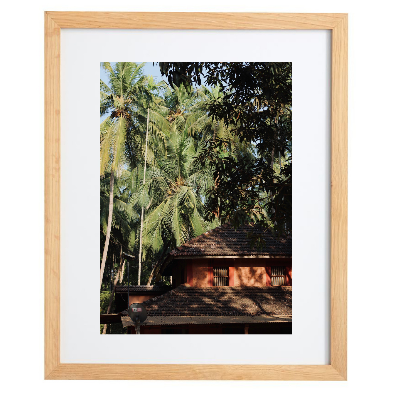 Palm tree photography in a natural frame