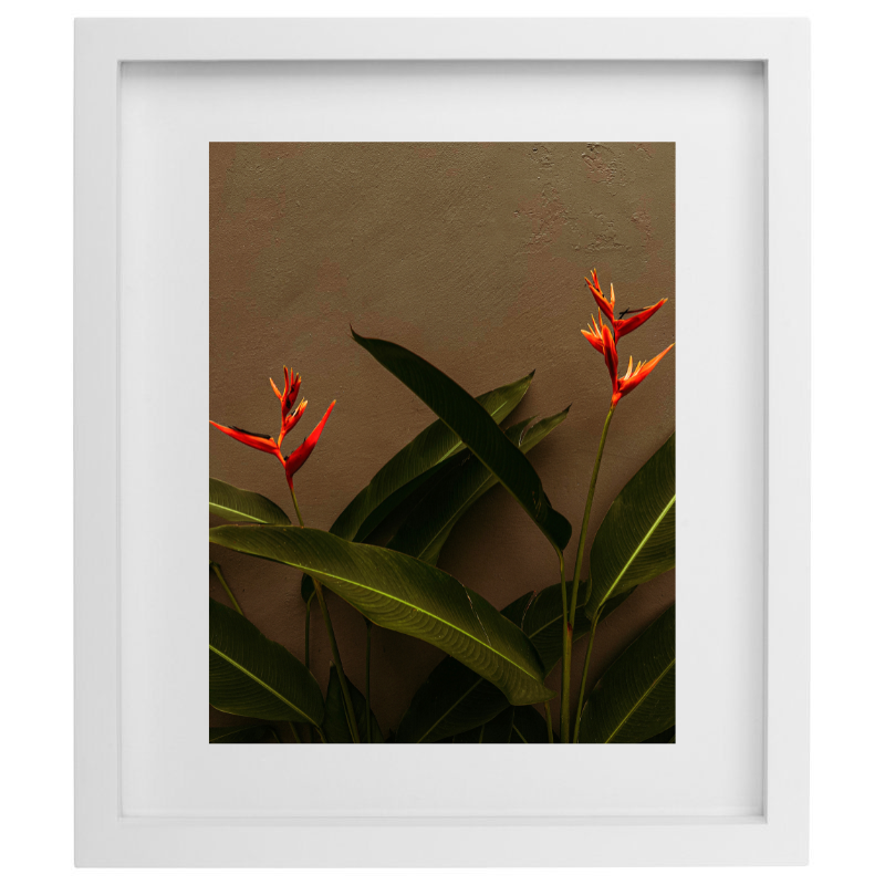Orange flowers photography in a white frame