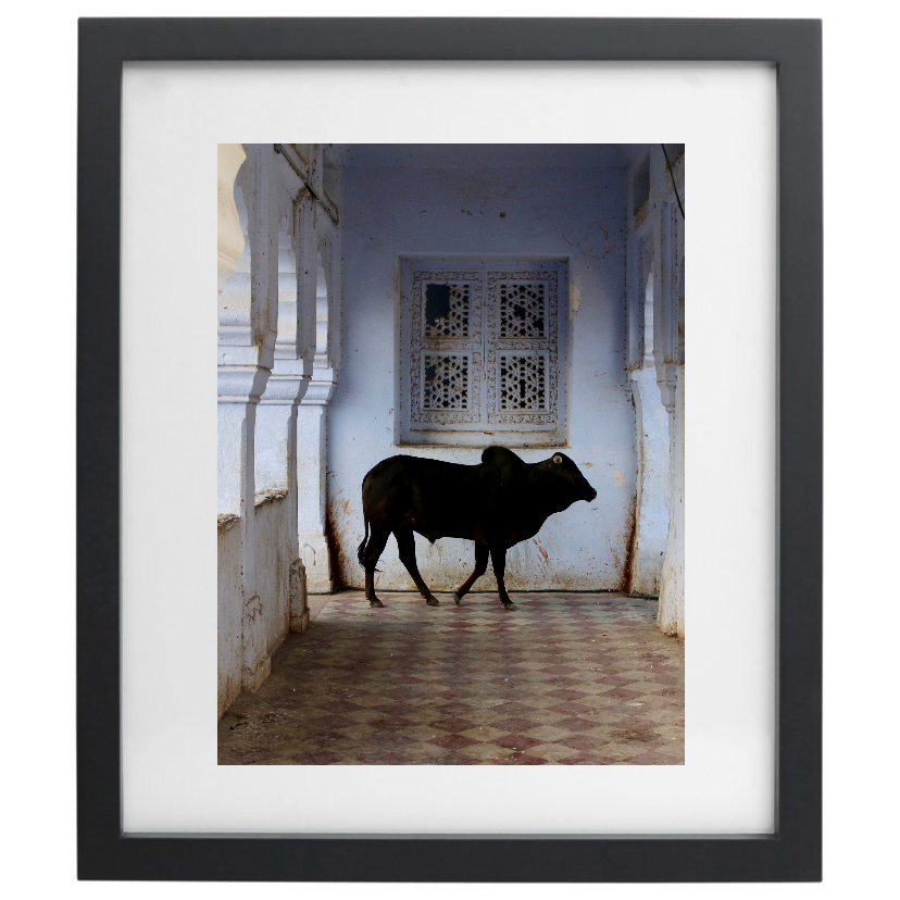 Pushkar photography in a black frame