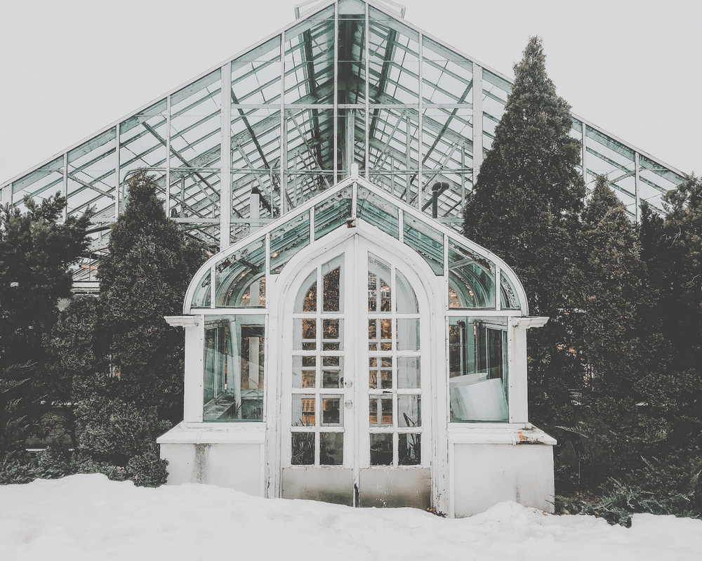 Arboretum in winter photography